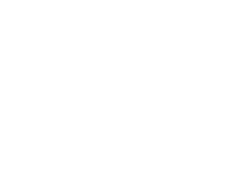 Dott